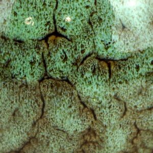 фото - Набор пиал подарочная 100 мл. 5шт в коробке