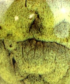 фото - Набор пиал подарочная 100 мл. 5шт в коробке