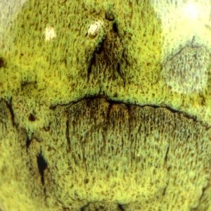 фото - Набор пиал подарочная 100 мл. 5шт в коробке