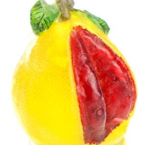 фото - Чайна іграшка грейпфрут. меняет цвет