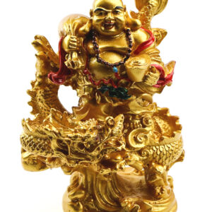 фото - хотей 10х10х15