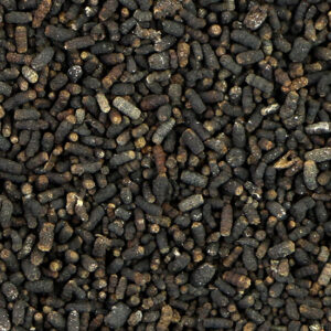 фото - Китайский чай Шу пуэр Жемчужина Дракона,  чайный лювак Лю Бао Чун Ши,  2011 года