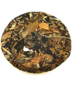 фото - AUTO-DRAFT