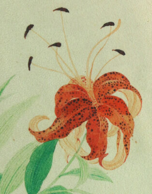 фото - Полотенце для чайной церемонии, Лилия, утолщенная чайная салфетка из микрофибры, 40х18 см