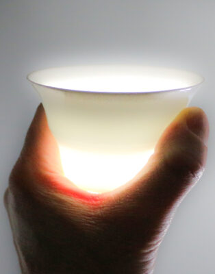 фото - сервиз гайвань 110мл+3 пиалы по 30мл