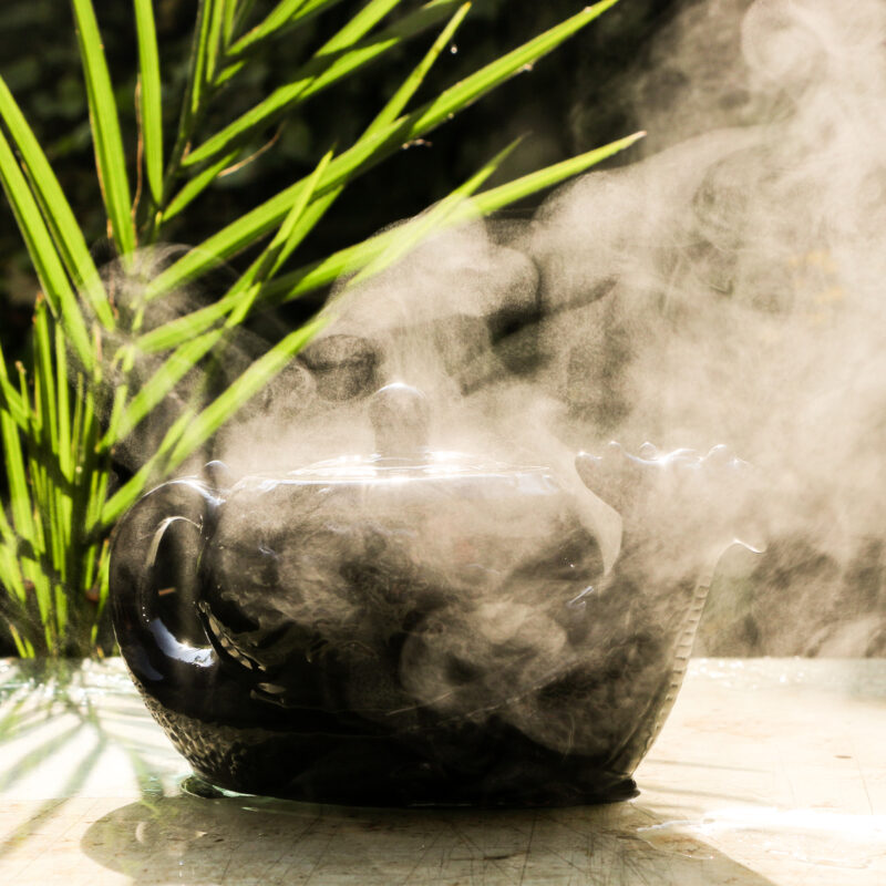 фото - Як правильно заварювати китайський чай? Повний посібник | Teacraft