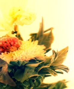 фото - Набір “Легкий і кайфовий”